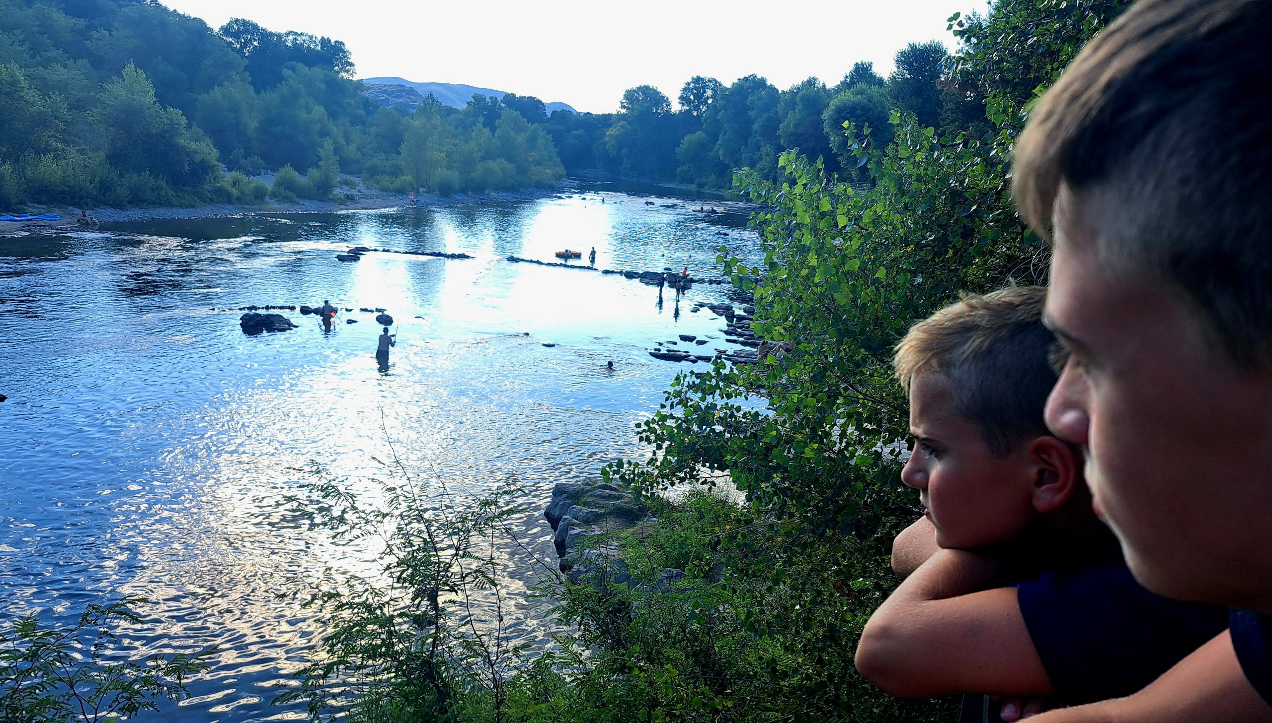 Shinrin-Yoku : L&rsquo;art du bain de forêt et de la reconnexion à la nature
